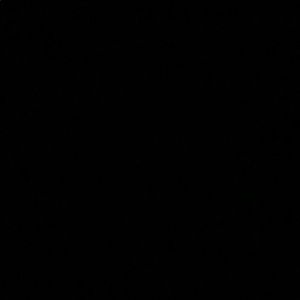 Meet your Posher, Jojo